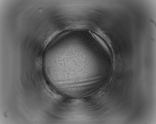 X0000099450107200805231751