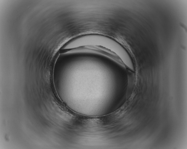 X0000099450108200805231751