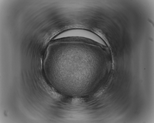 X0000099450109200805231751