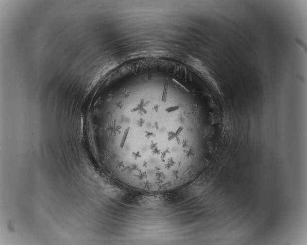 X0000099450110200805231751