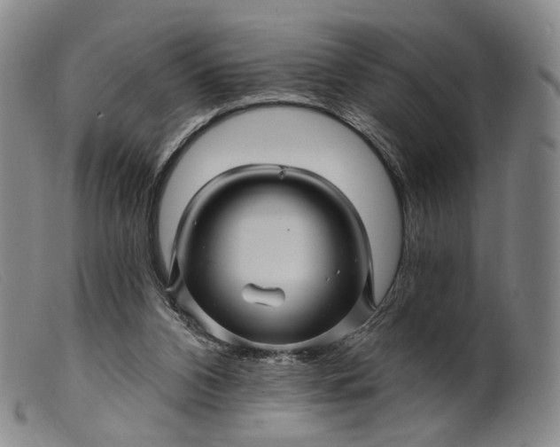 X0000099450112200805231751