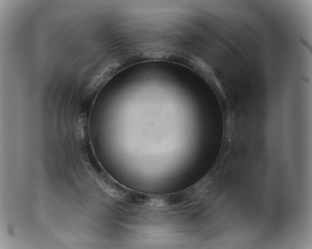 X0000099450114200805231751