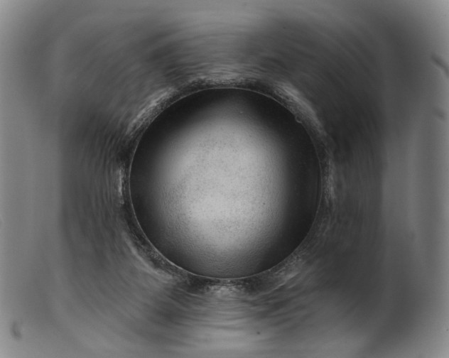 X0000099450115200805231751