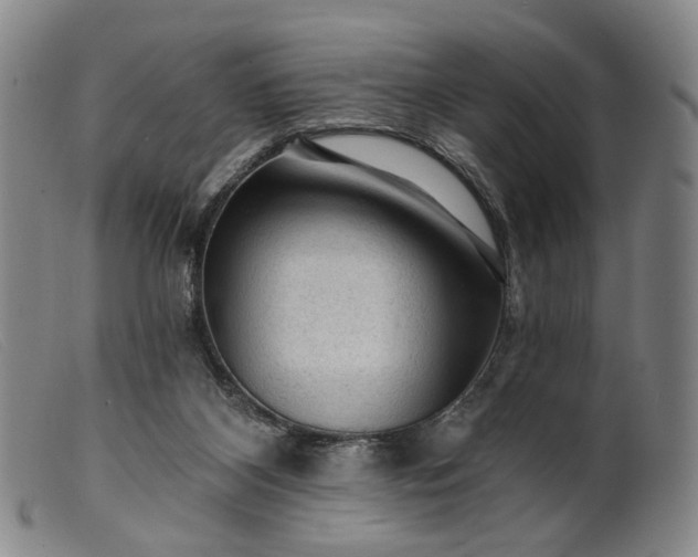 X0000099450116200805231751