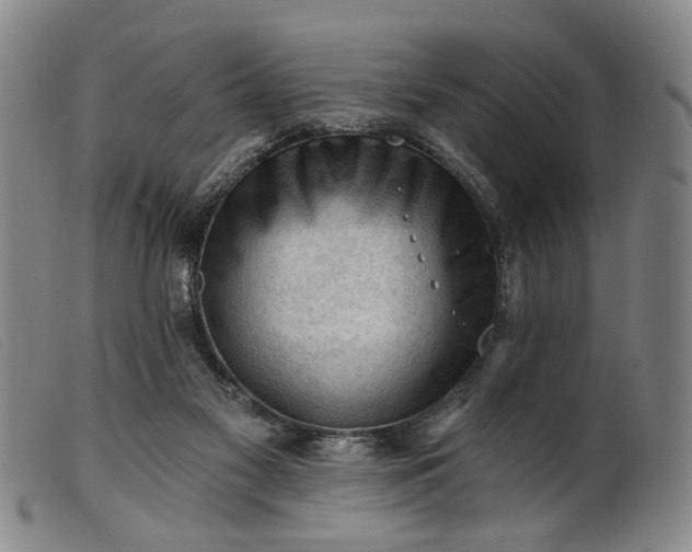 X0000099450117200805231751