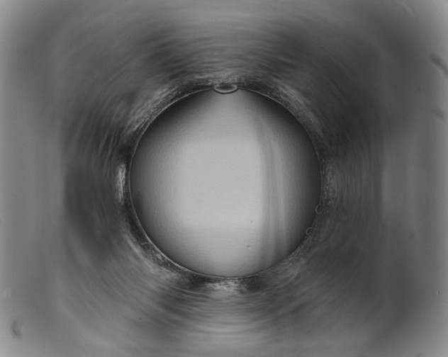 X0000099450118200805231751