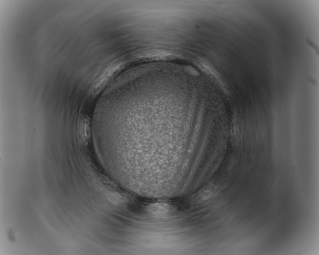 X0000099450119200805231751