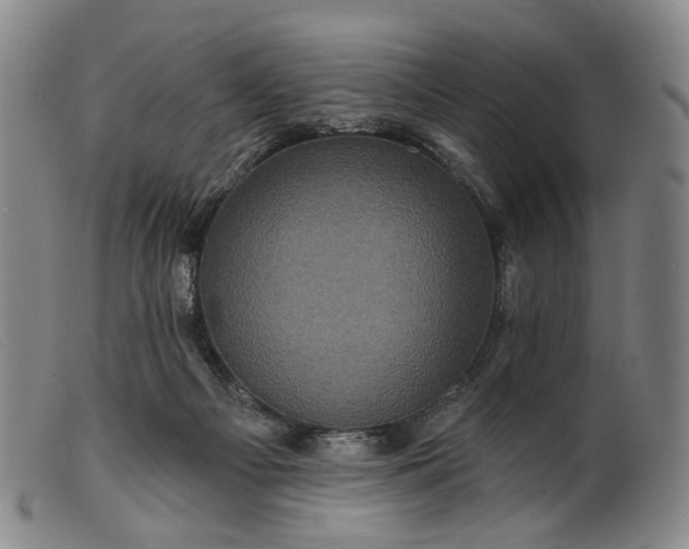 X0000099450121200805231751