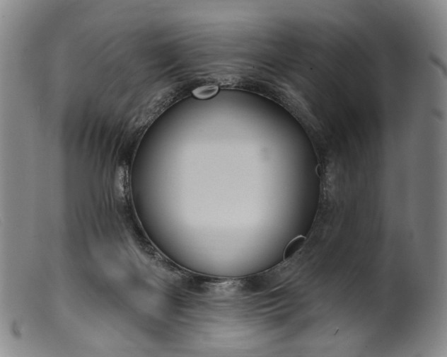 X0000099450122200805231751