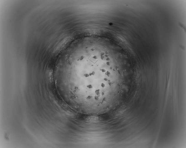 X0000099450123200805231751