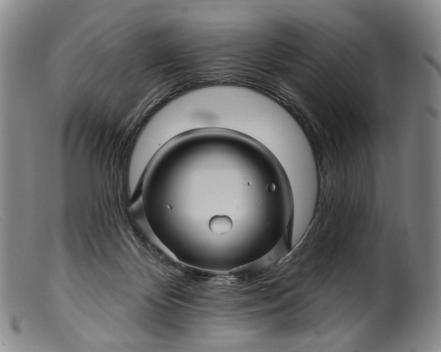 X0000099450124200805231751