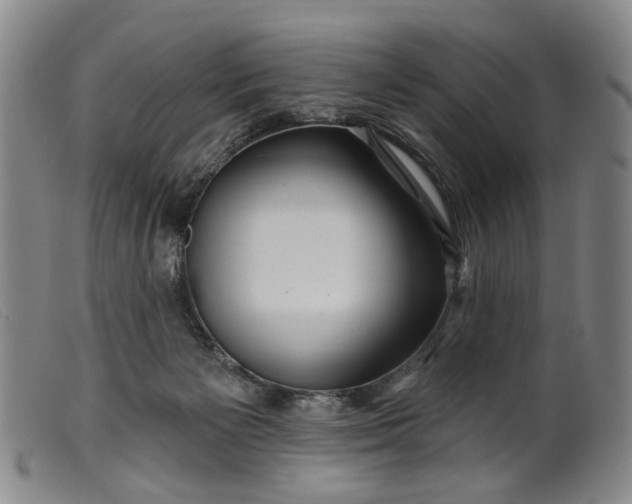 X0000099450125200805231751