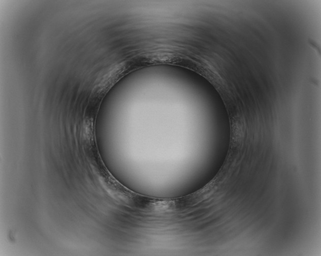 X0000099450126200805231751