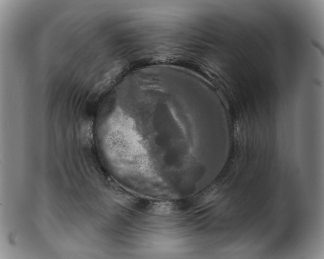 X0000099450127200805231751