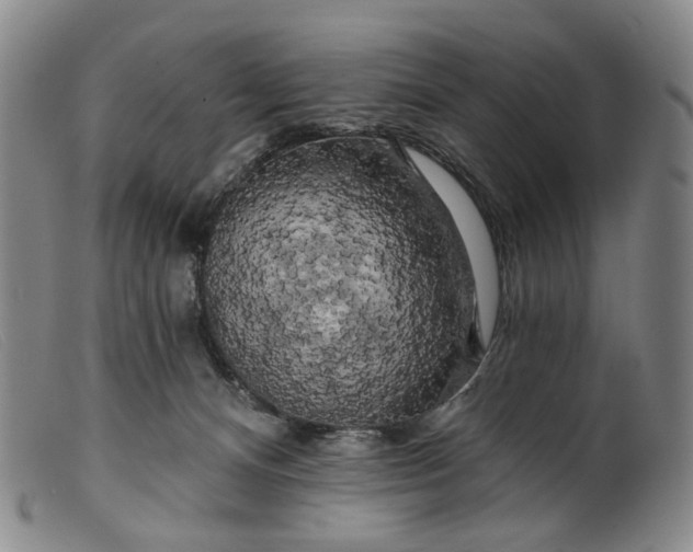 X0000099450128200805231751