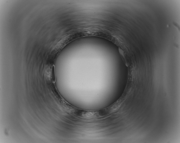 X0000099450129200805231751