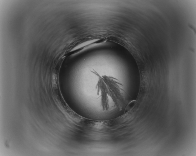 X0000099450130200805231751