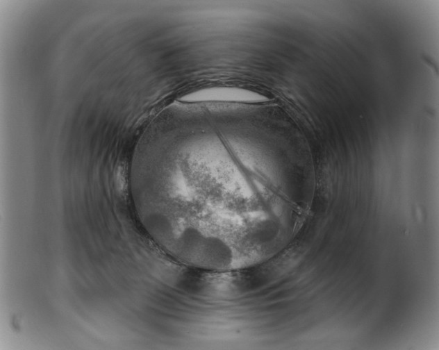 X0000099450131200805231751