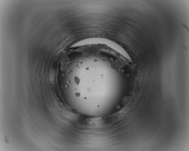 X0000099450132200805231751