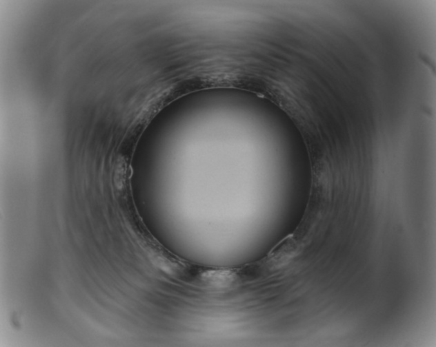 X0000099450133200805231751