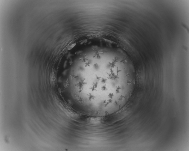 X0000099450134200805231751