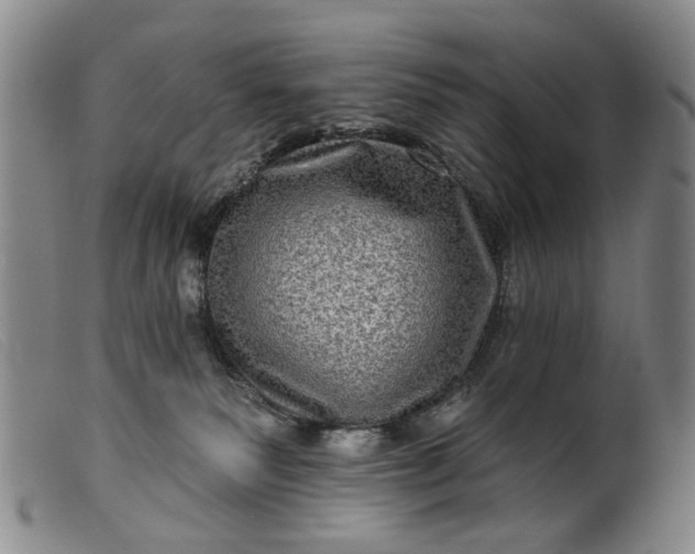 X0000099450135200805231751