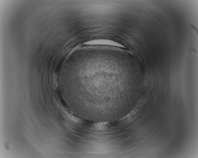 X0000099450136200805231751