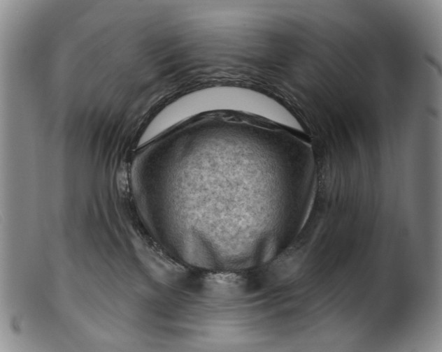 X0000099450137200805231751