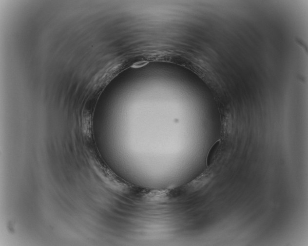 X0000099450138200805231751