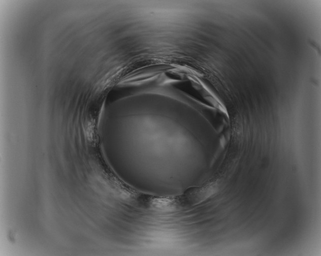 X0000099450139200805231751