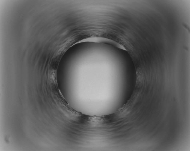 X0000099450141200805231751