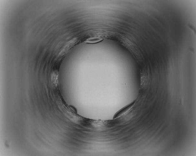 X0000099450142200805231751