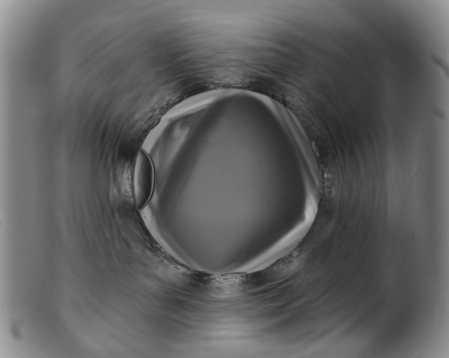 X0000099450143200805231751