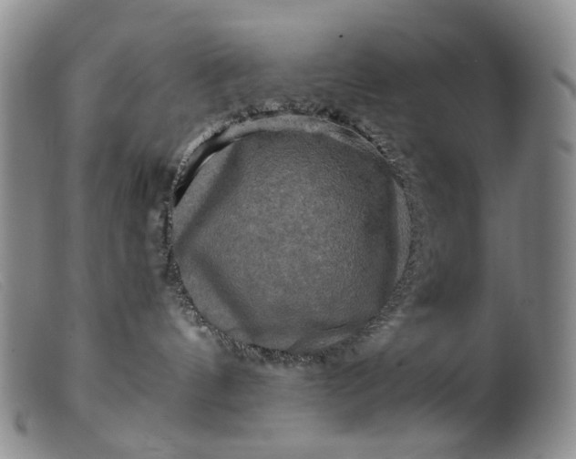 X0000099450144200805231751