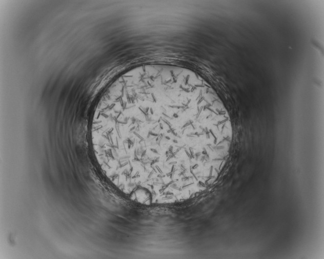 X0000099450146200805231750