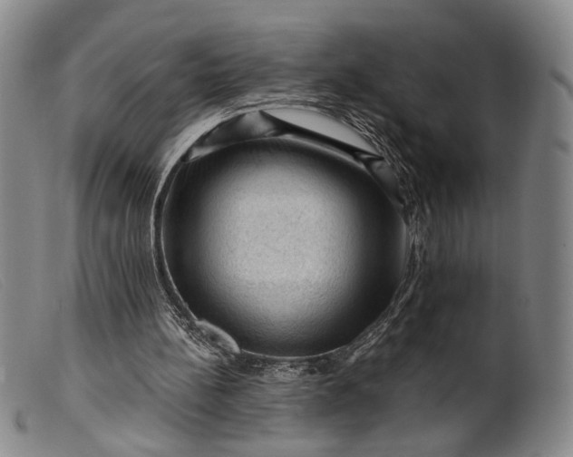 X0000099450148200805231750