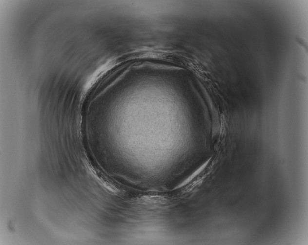 X0000099450150200805231750