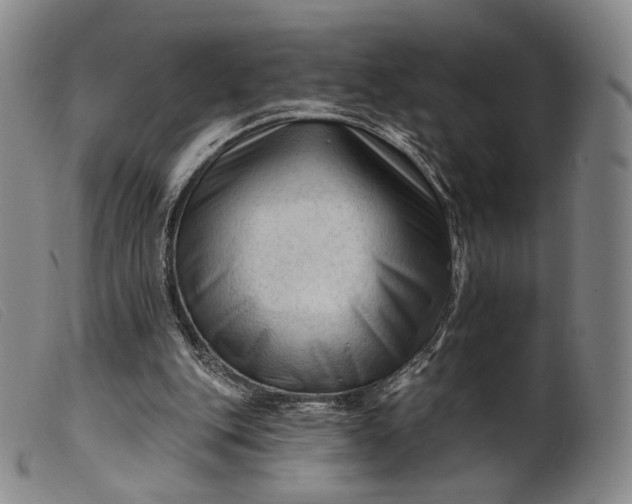 X0000099450151200805231750