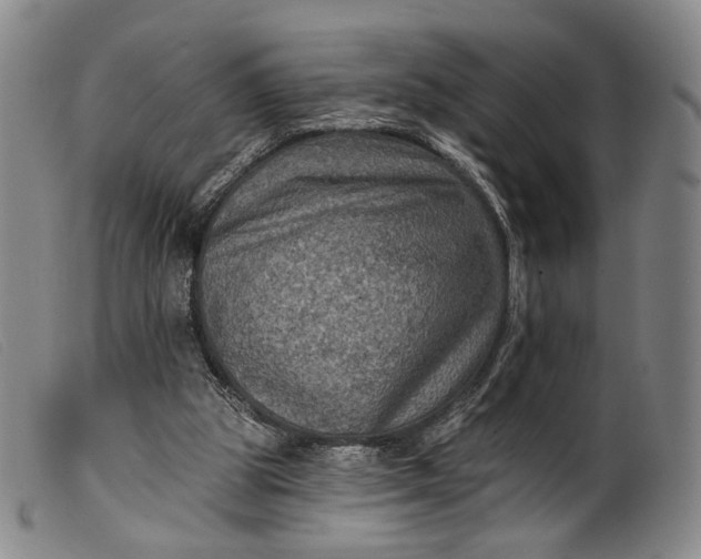 X0000099450153200805231750