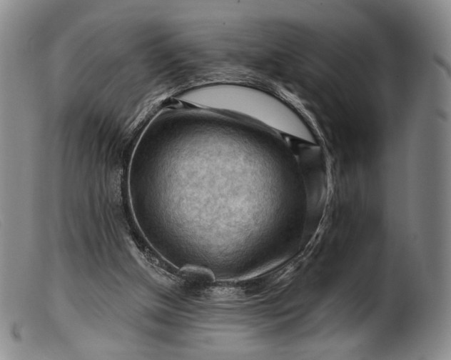 X0000099450154200805231750