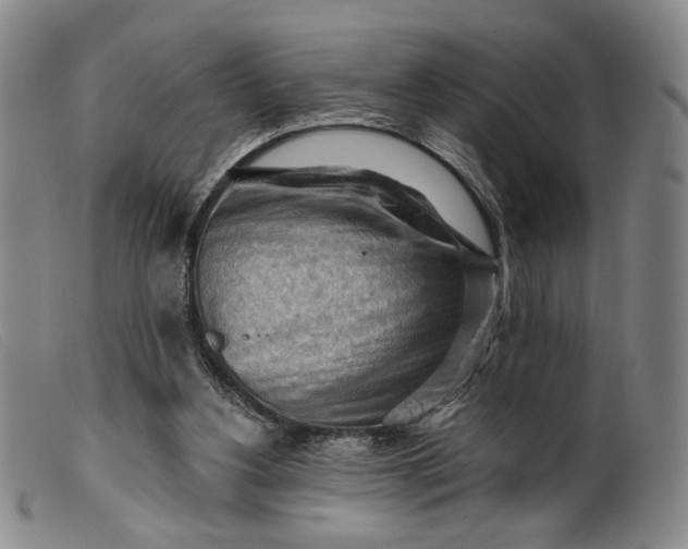 X0000099450156200805231750