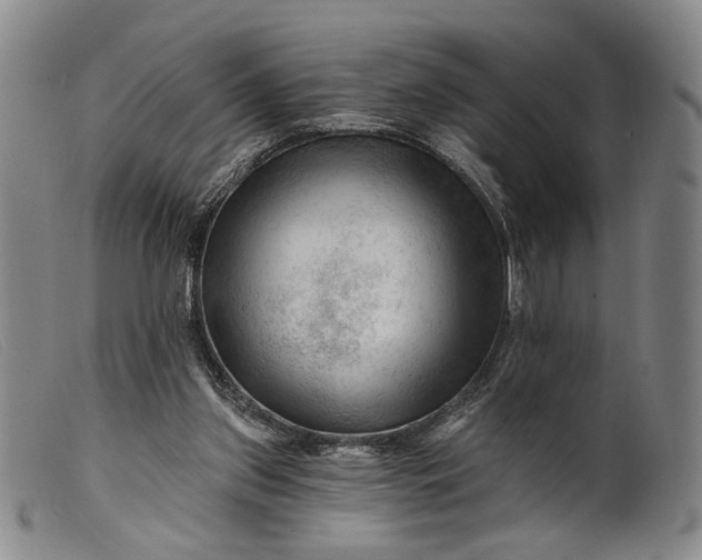 X0000099450157200805231750