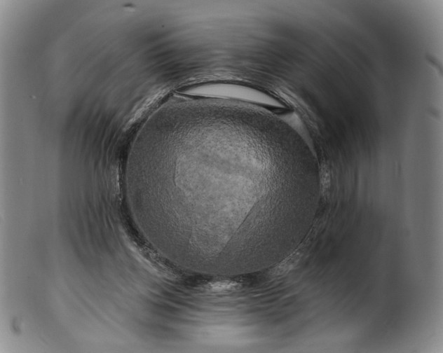 X0000099450158200805231750