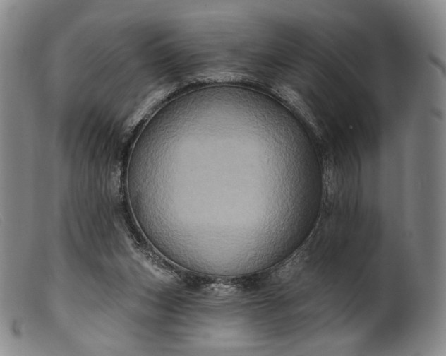 X0000099450159200805231750