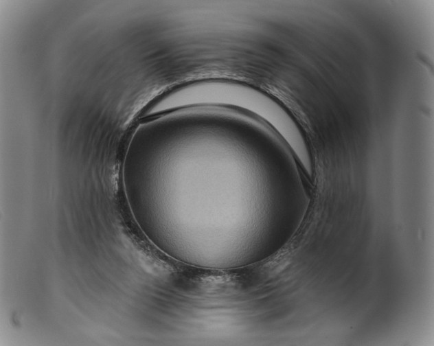 X0000099450160200805231750