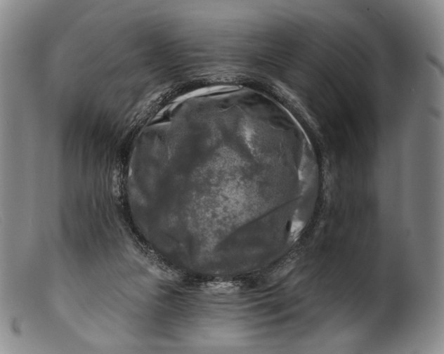 X0000099450161200805231750