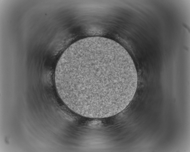 X0000099450162200805231750