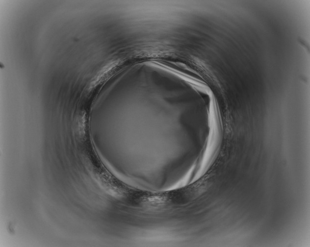 X0000099450163200805231750