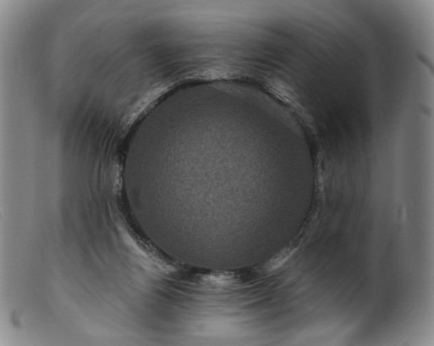 X0000099450164200805231750