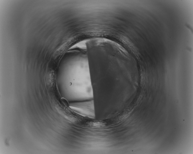 X0000099450165200805231750